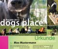 Bild zur Meldung dogsplace-Finanzierung steht