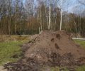 Bild zur Meldung 18. März - Der Dogsplace Hügel entsteht.