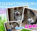 Bild zur Meldung Tierretterwochen - Heute: EMMA