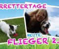 Bild zur Meldung TIERRETTERTAGE HEUTE: ***Flieger***