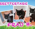 Bild zur Meldung TIERRETTERTAGE HEUTE: ***Frau B. - ein echter Kriminalfall***