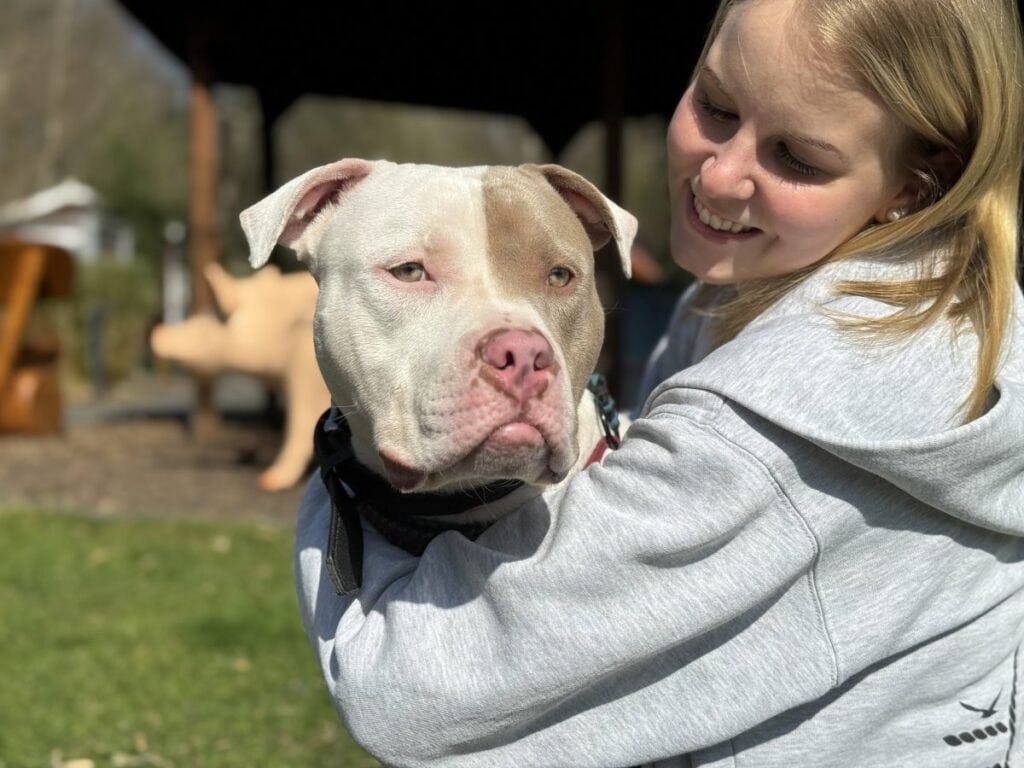 Foto: Ivy - Hunde > Hunde