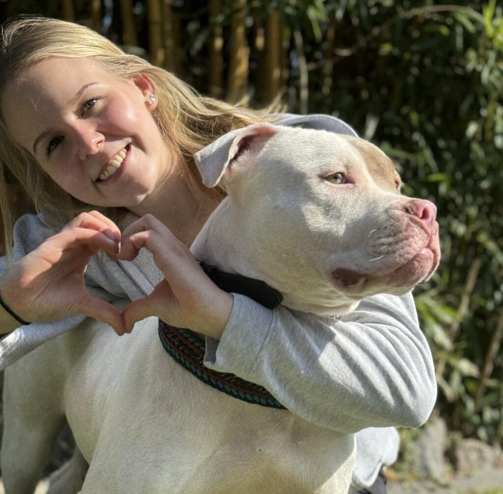 Foto: Ivy - Hunde > Hunde