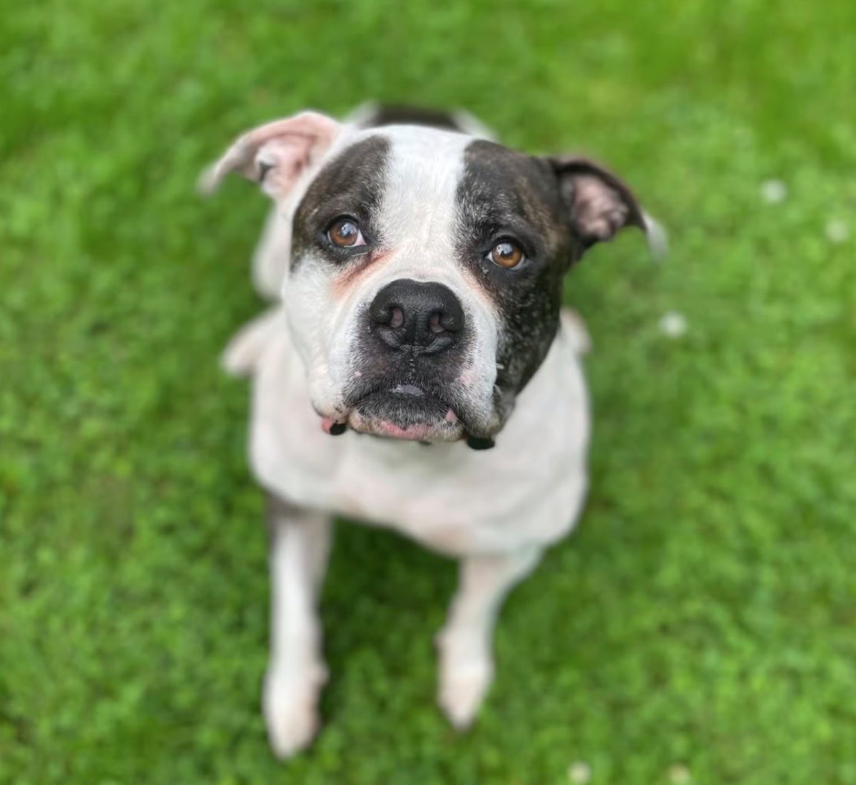 Foto: Jana - Hunde > Hunde