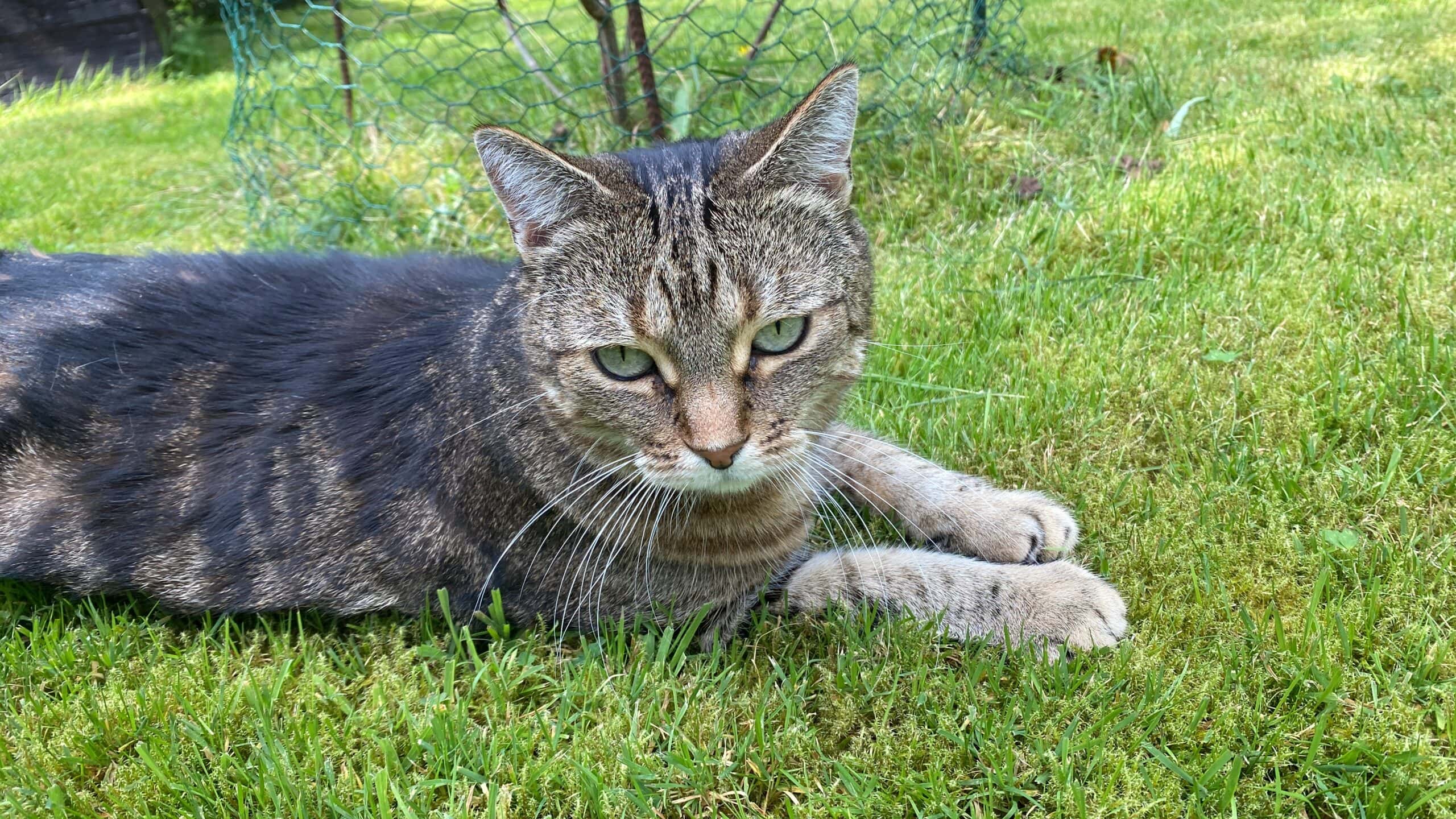 481B6D56-0098-47B6-93C1-CCCE0B113895