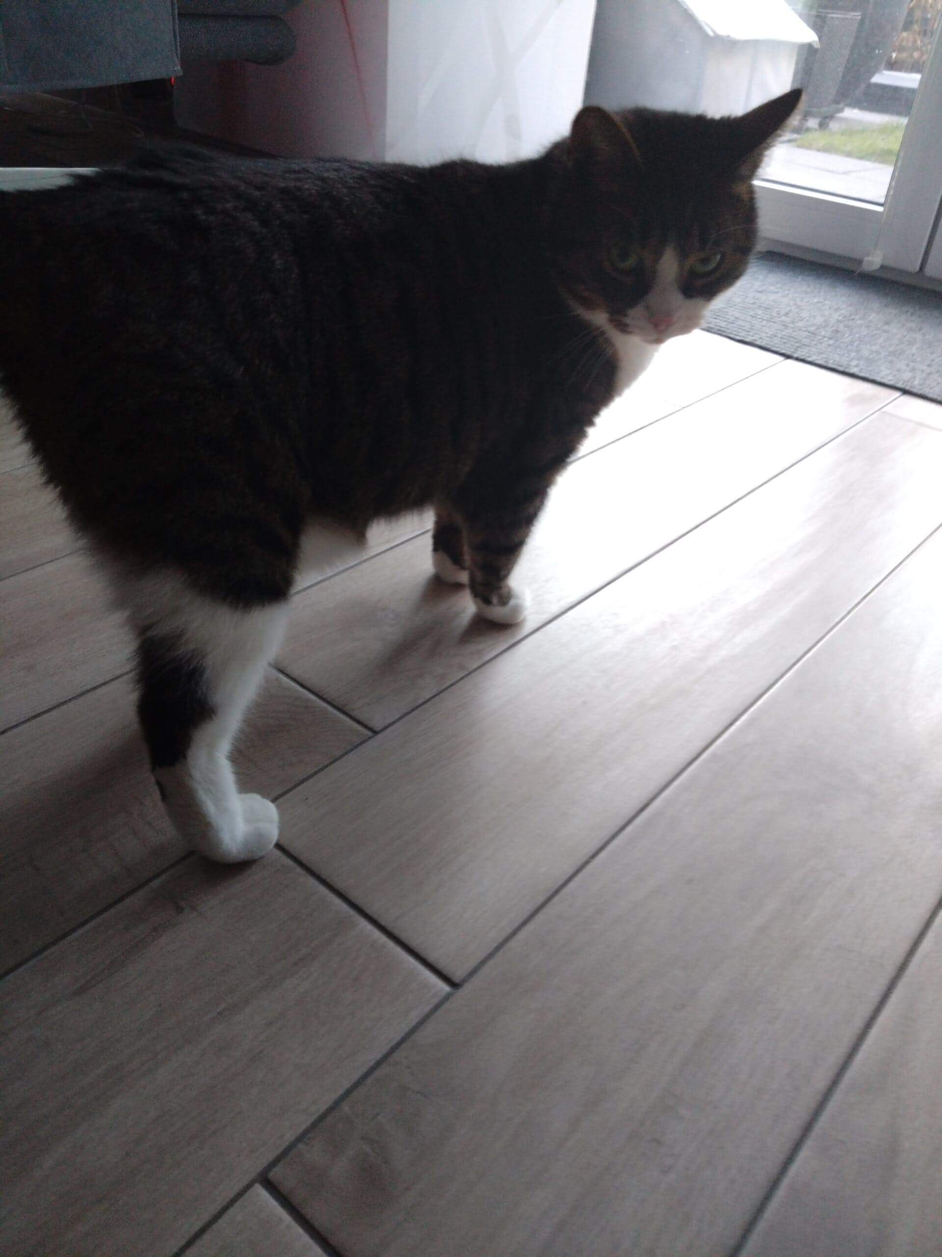 17688162955058270038972941356326