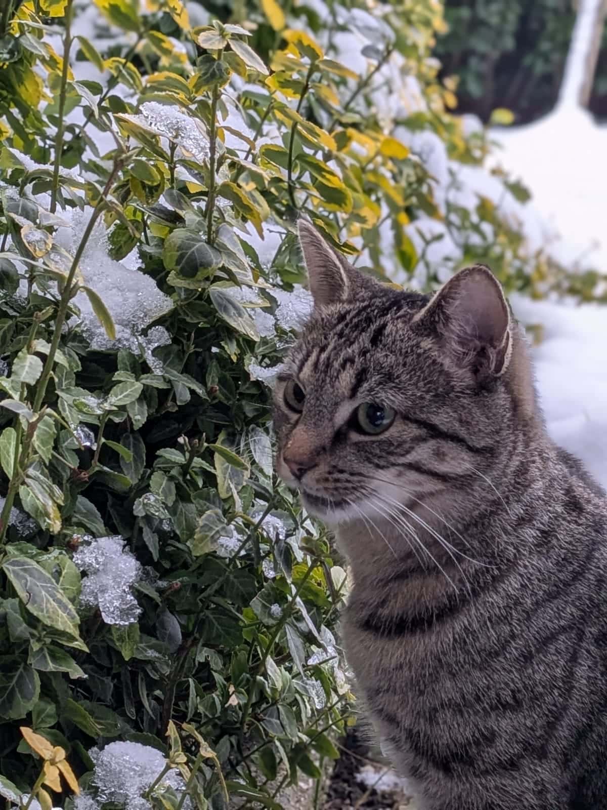 WhatsApp-Image-2026-01-09-at-15.50.08