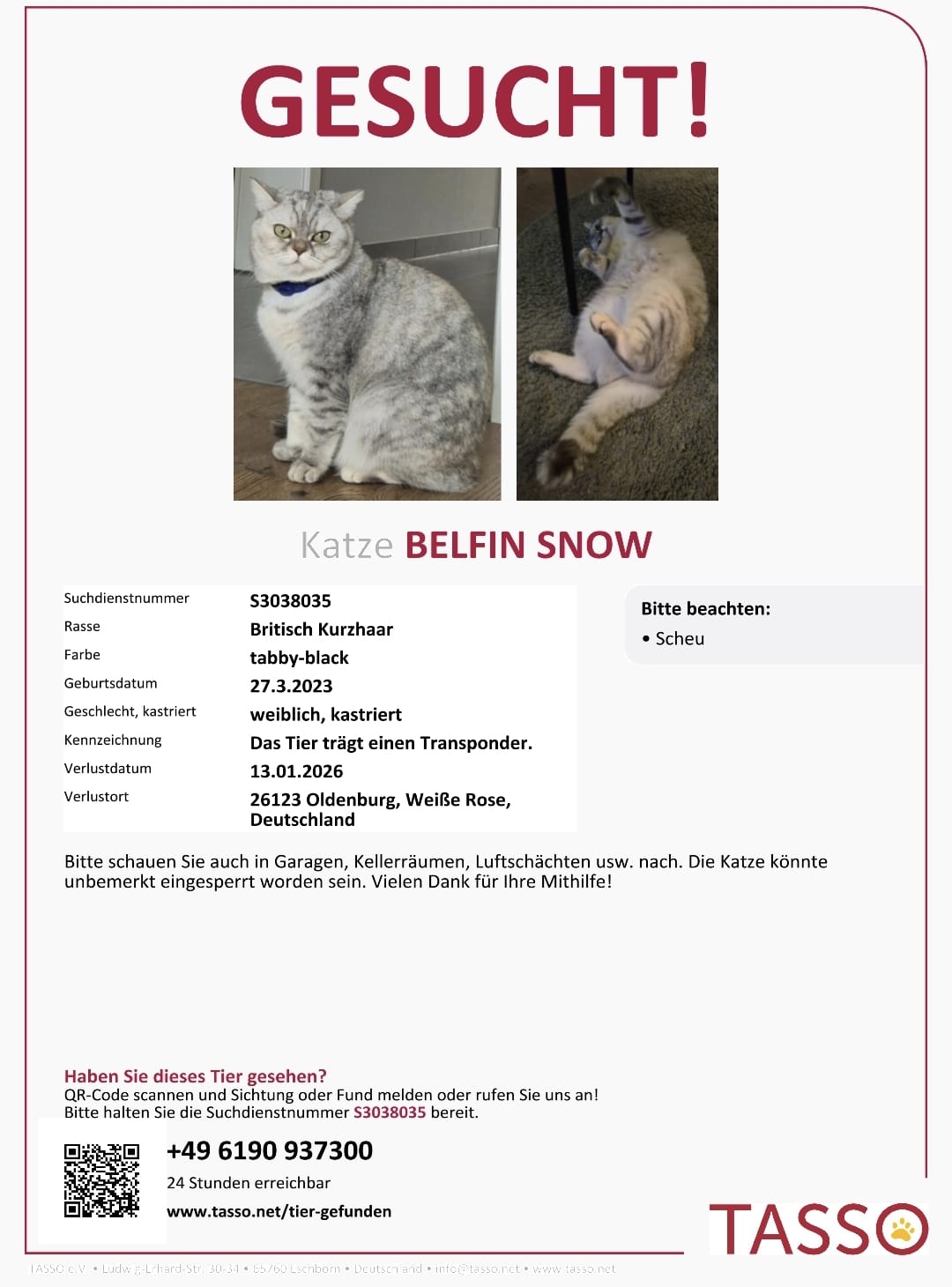 f8960a96303a4b3cbdbc6f72a8ad21bd