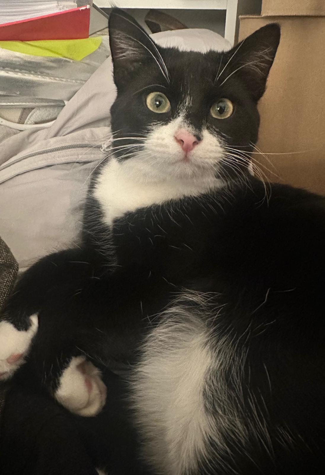 f96722a7-be67-4f00-8411-c9d7691c8aab