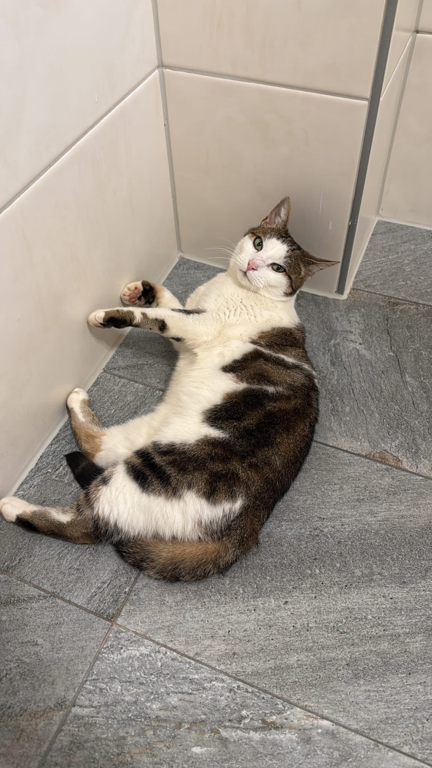 B8337D7A-93D0-41B1-8BBC-9316DE719806