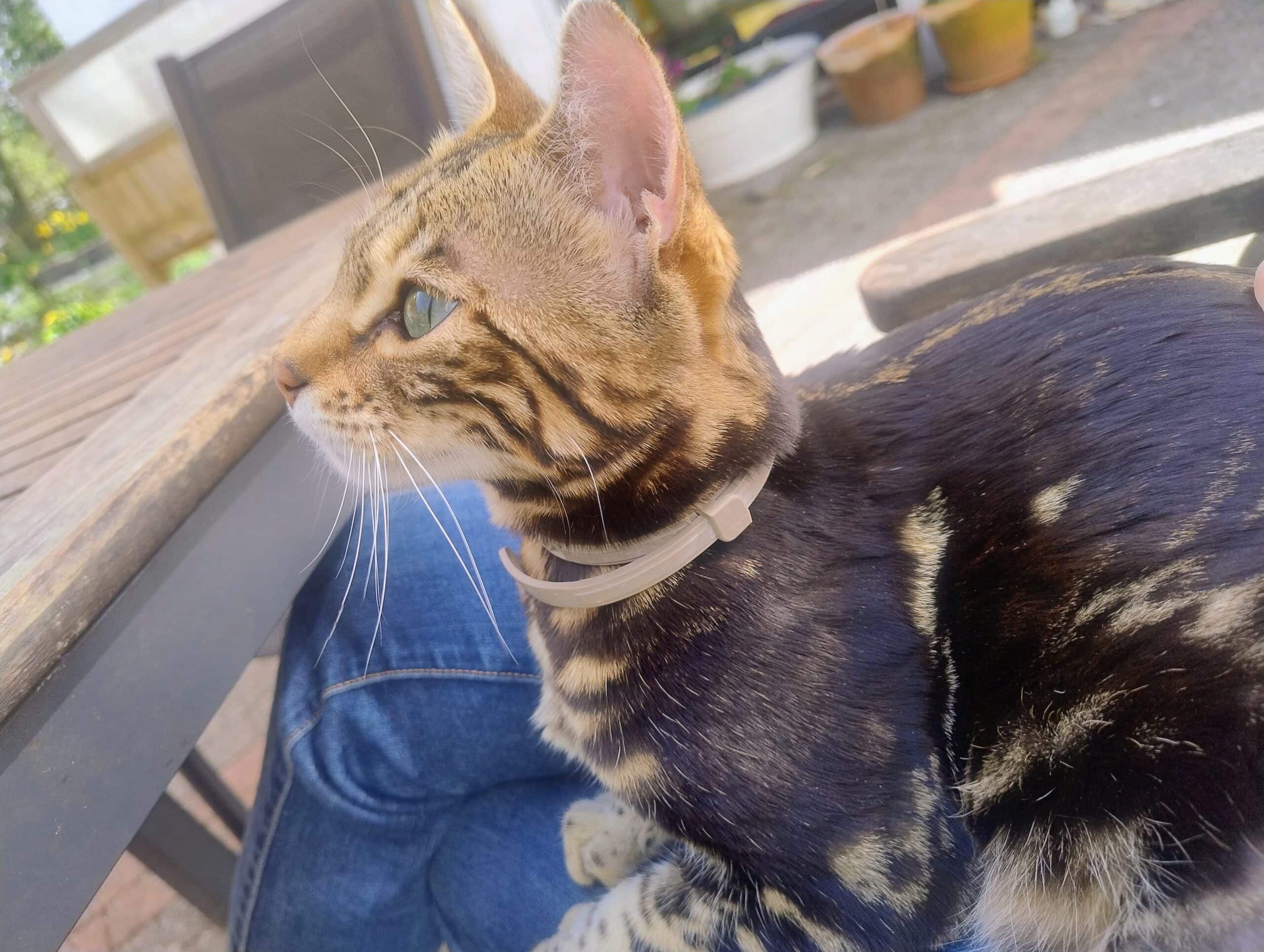 IMG_20260408_140550067_HDR_AE