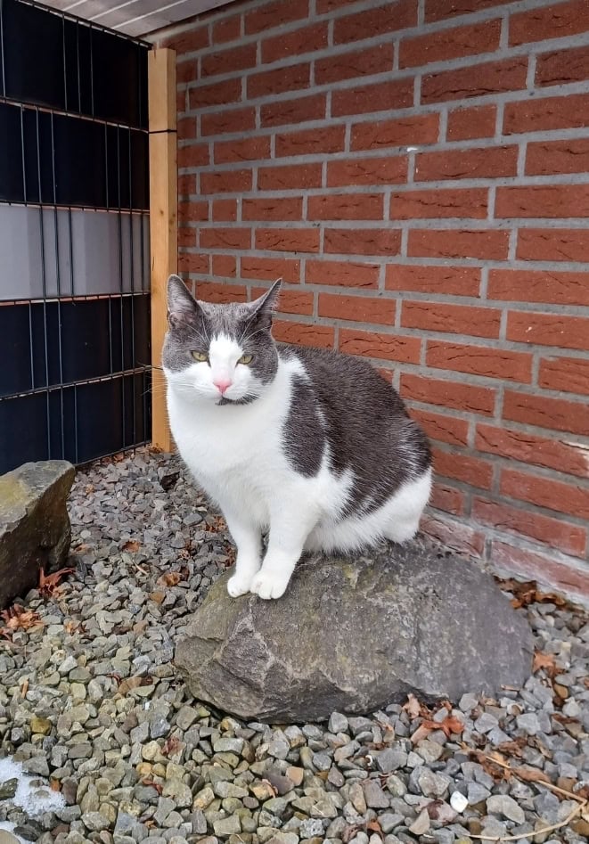 Screenshot_20260312_111649_Amazon-Photos