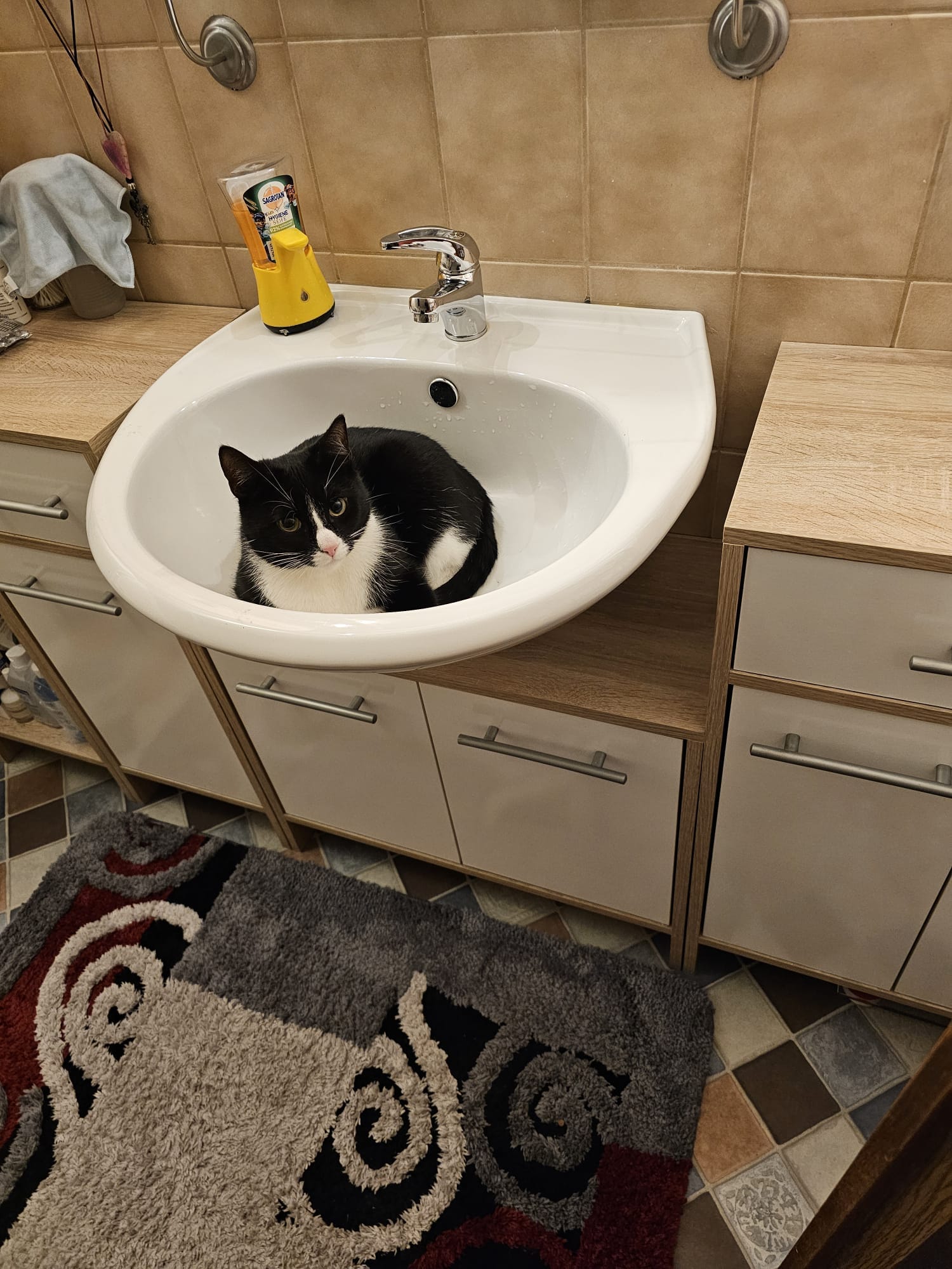 Katze: „Mia, ehemals Loredana“